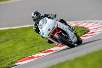 Oulton-Park-21st-March-2020;PJ-Motorsport-Photography-2020;anglesey;brands-hatch;cadwell-park;croft;donington-park;enduro-digital-images;event-digital-images;eventdigitalimages;mallory;no-limits;oulton-park;peter-wileman-photography;racing-digital-images;silverstone;snetterton;trackday-digital-images;trackday-photos;vmcc-banbury-run;welsh-2-day-enduro